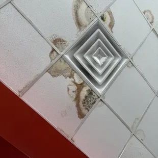 Mold in ceiling