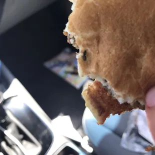 A bug on my sons cheeseburger  Nasty!