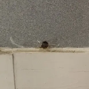 Nasty hole in wall