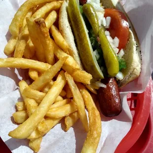 Chicago dog &amp; fries