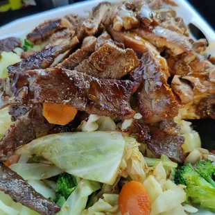 Chicken &amp; Beef Teriyaki