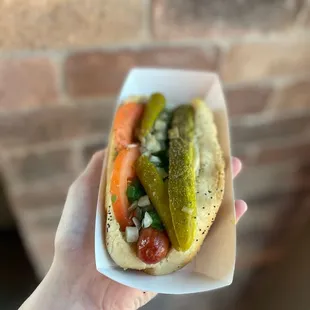 Chicago Dog