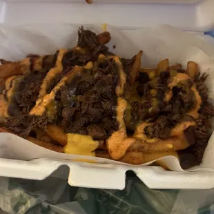 Detroit loaded fries