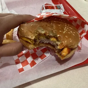 Cheeseburger plain ketchup only