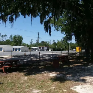 a picnic table and benches under a tree