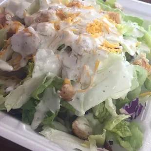 Grilled Chicken or Fried Chicken Salad 6.99 House Salad 4.99