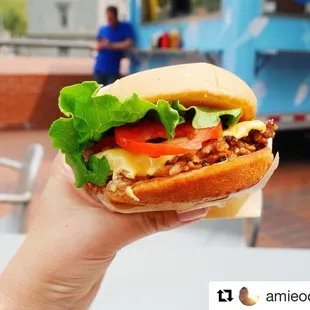 Veggie Burger + Human Hand (hand not for sale)