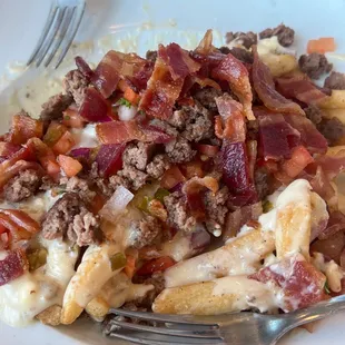 Nacho fries with beef added