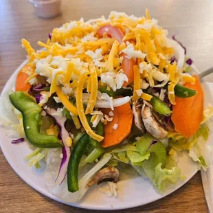 Side salad that comes with the dinner platter. Huge!