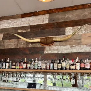 a long horn horn mounted on the wall of a bar