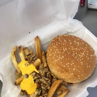 Salmon burger and fries