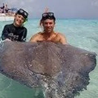 Patrick N.