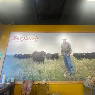 a man standing in front of cows