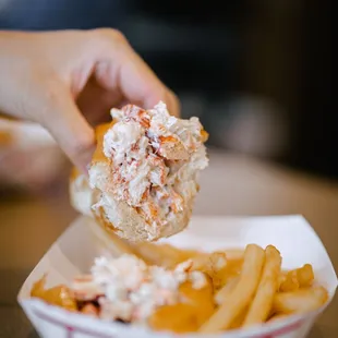 Lobster Roll