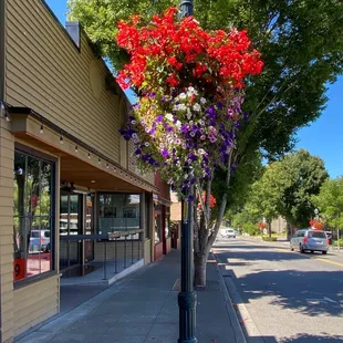 a street corner with a lamp post and flowers hanging from it