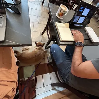 Organic Guatemala Coffee Bean 1 lb