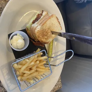 a sandwich and fries