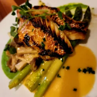 Snapper