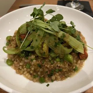 Vegetarian Entree