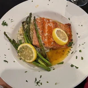 Salmon