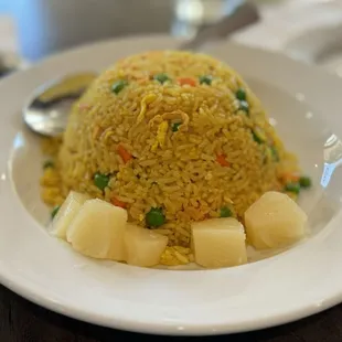 Home Style Fried Rice ($11)