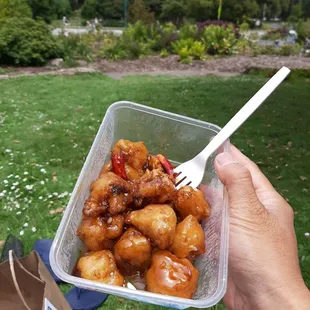 Firecracker cauliflour in GG park