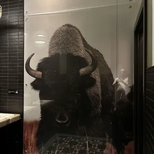 Upstairs Men&apos;s Room
