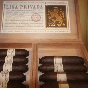 Liga Privada T52 Flying Pig
