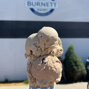 Java Chip &amp; Maple Nut Double Scoop Ice Cream