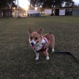Burnett Park 13Dec2018