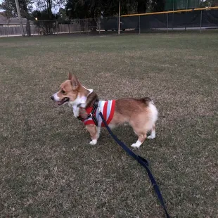 Burnett Park 13Dec2018