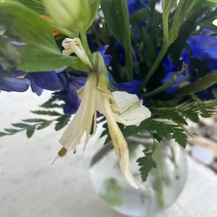 Dead flowers