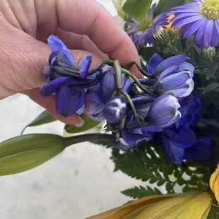 Dead flowers