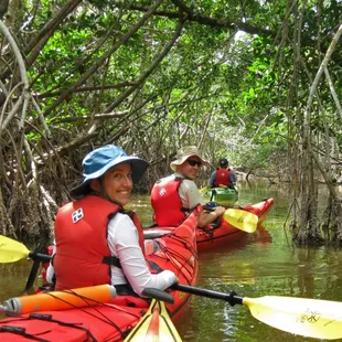 Book a winter Everglades adventure.