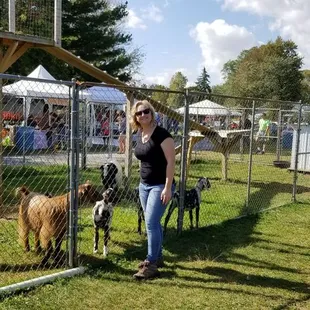 I'm such a sucker for goats lol