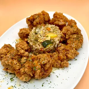 a plate of fried meat and rice