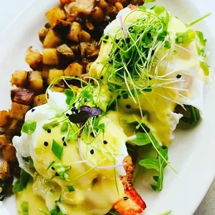 Lobster Bene Special