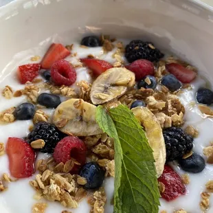 Cactus Mike Yogurt Bowl