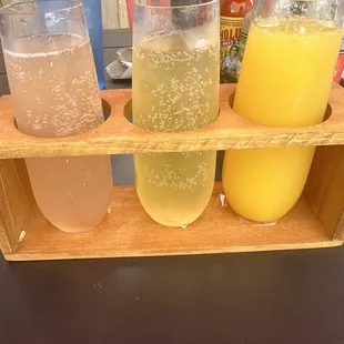 Mimosa flight