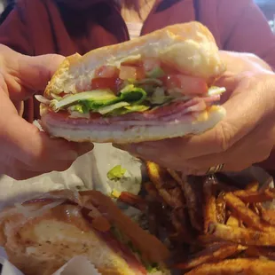 Italian Sub and regular fries