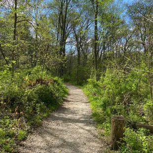 Bethany Falls nature trail