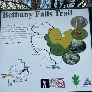 Bethany Falls Trail map.