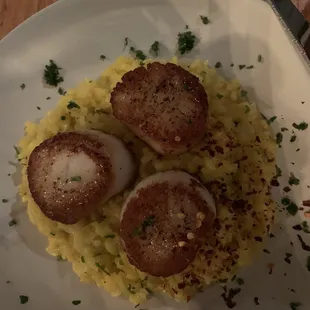Scallop Risotto