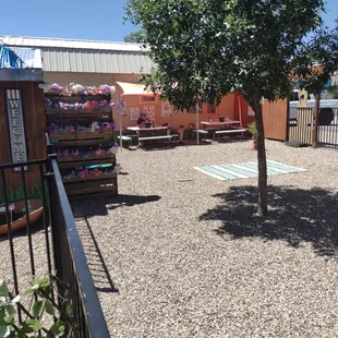 Pet friendly yard