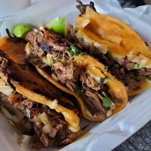 Birria tacos