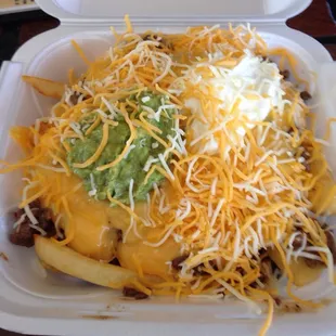 Carne Asada fries!