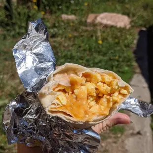 Egg cheese potato burrito...but they forget the potatoes - whoops! Still tasty though!