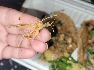 Amigos Street Tacos