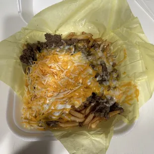 Carne Asada Fries