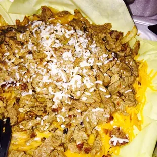 Carni Asada fries